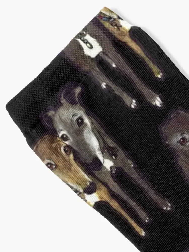 جوارب روس وهولي آند كاين هدية عيد الميلاد قصيرة جديدة في جوارب الرجال والنساء