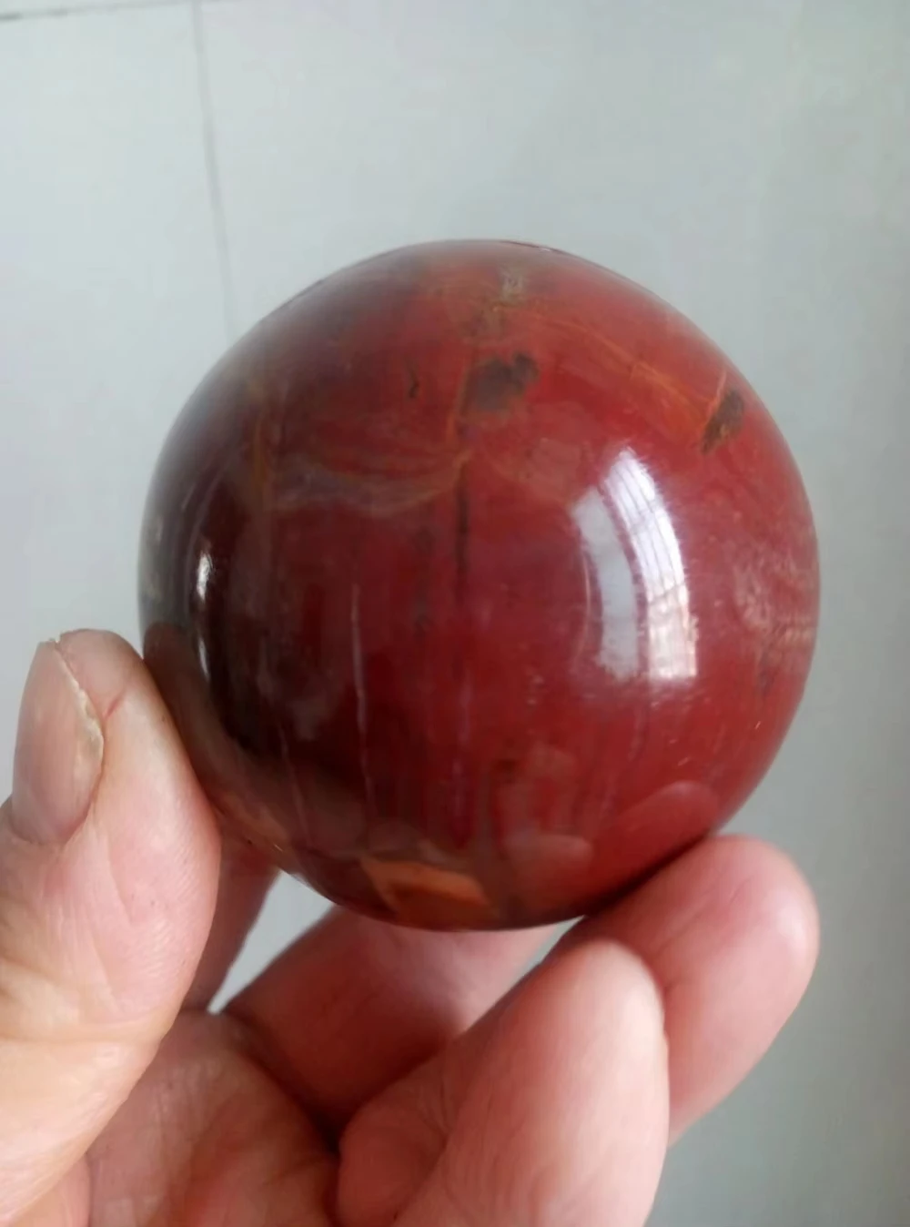 Petrified Wood Sphere Stone 2 inch Conifer Mineral Ball Madagascar