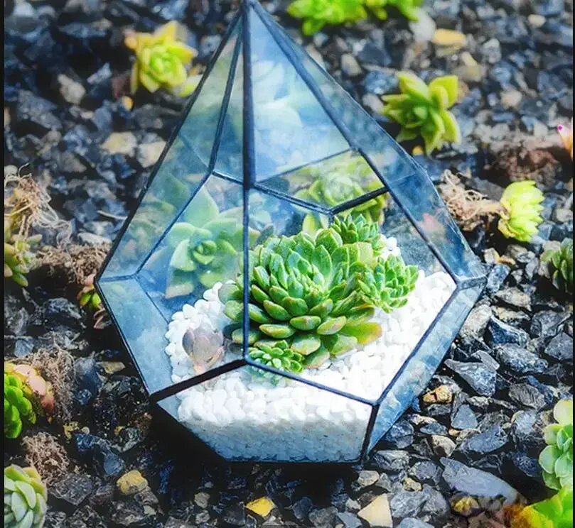 Transparent Glass Vase Succulent Pot Plant Micro Landscape Flowerpots Garden Pots Immortal Flower Box Desktop Display Stand