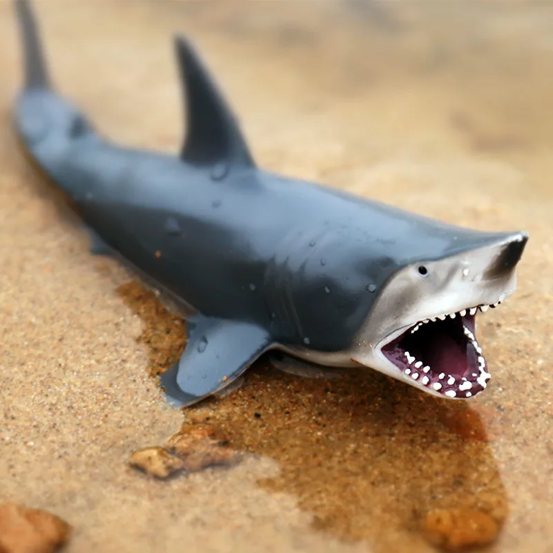 1Pcs Simulation Sale Sea Life  Animals Models Sharks Action Figures Toy Educational Collection Educational Toy for Children Gift