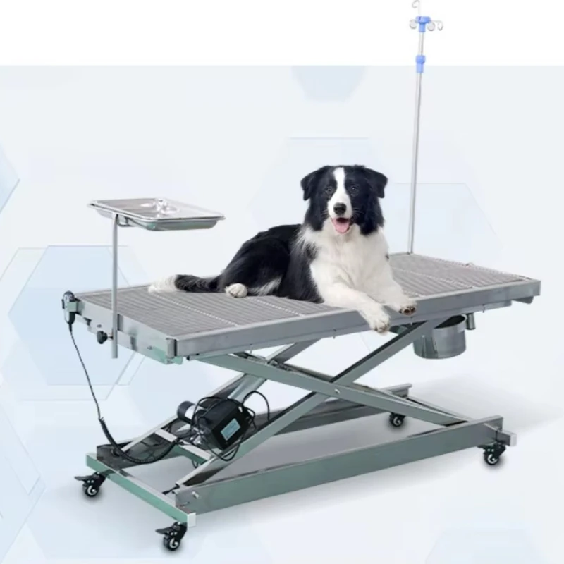 

Animal Clinic Hospital Stainless Steel Animal Veterinary Surgery