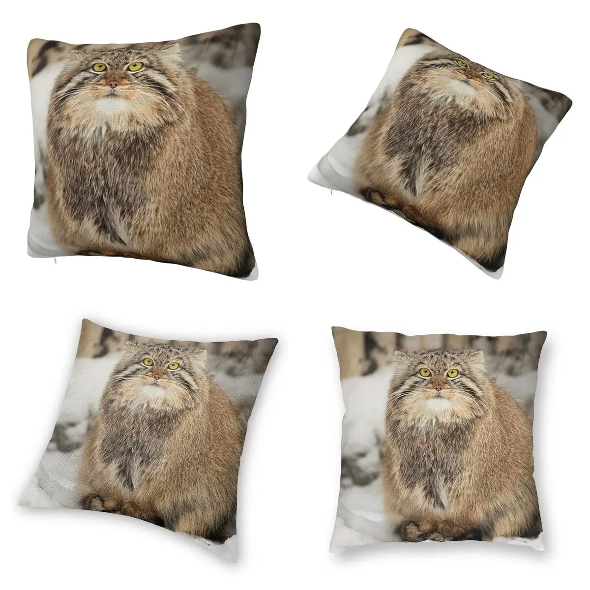 إيما القط بالاس ينتظر إلى الربيع للخياطة ساحة المخدة غطاء وسادة وسادة الراحة رمي وسادة للأريكة المنزلية #2
