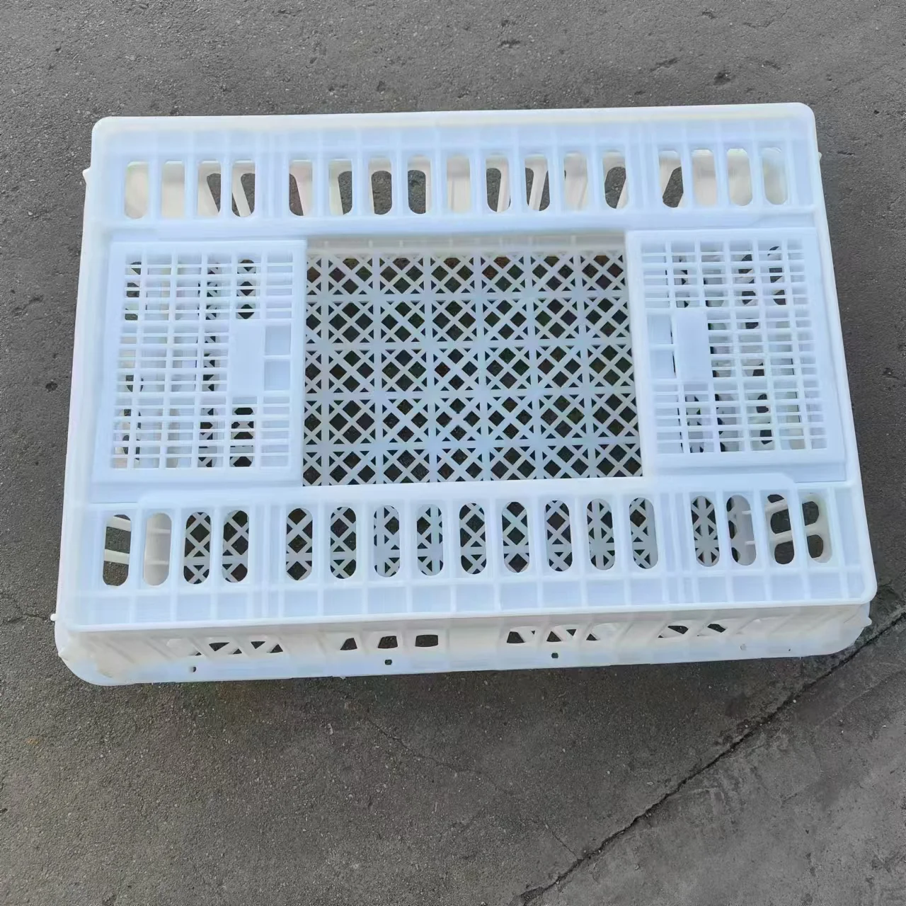 

Chicken Transport Crate Poultry Plastic Transport Cage for Chicken Pigeon Duck Goose Bird