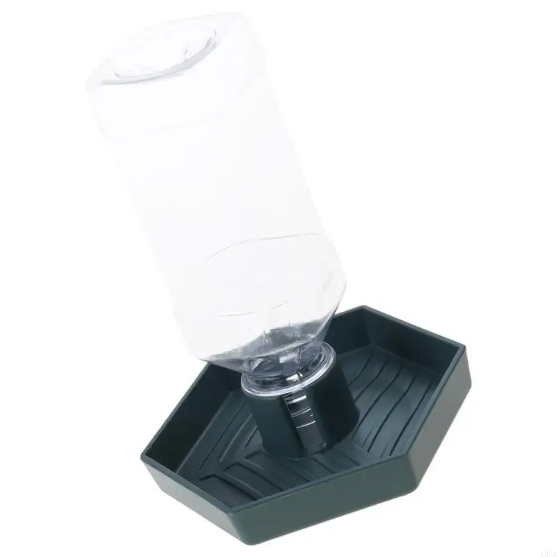 Reptiles Drinking Bowl Water Bottle and Water Feeder For Turtles Lizards And Bearded Dragons Pet Watering Supply