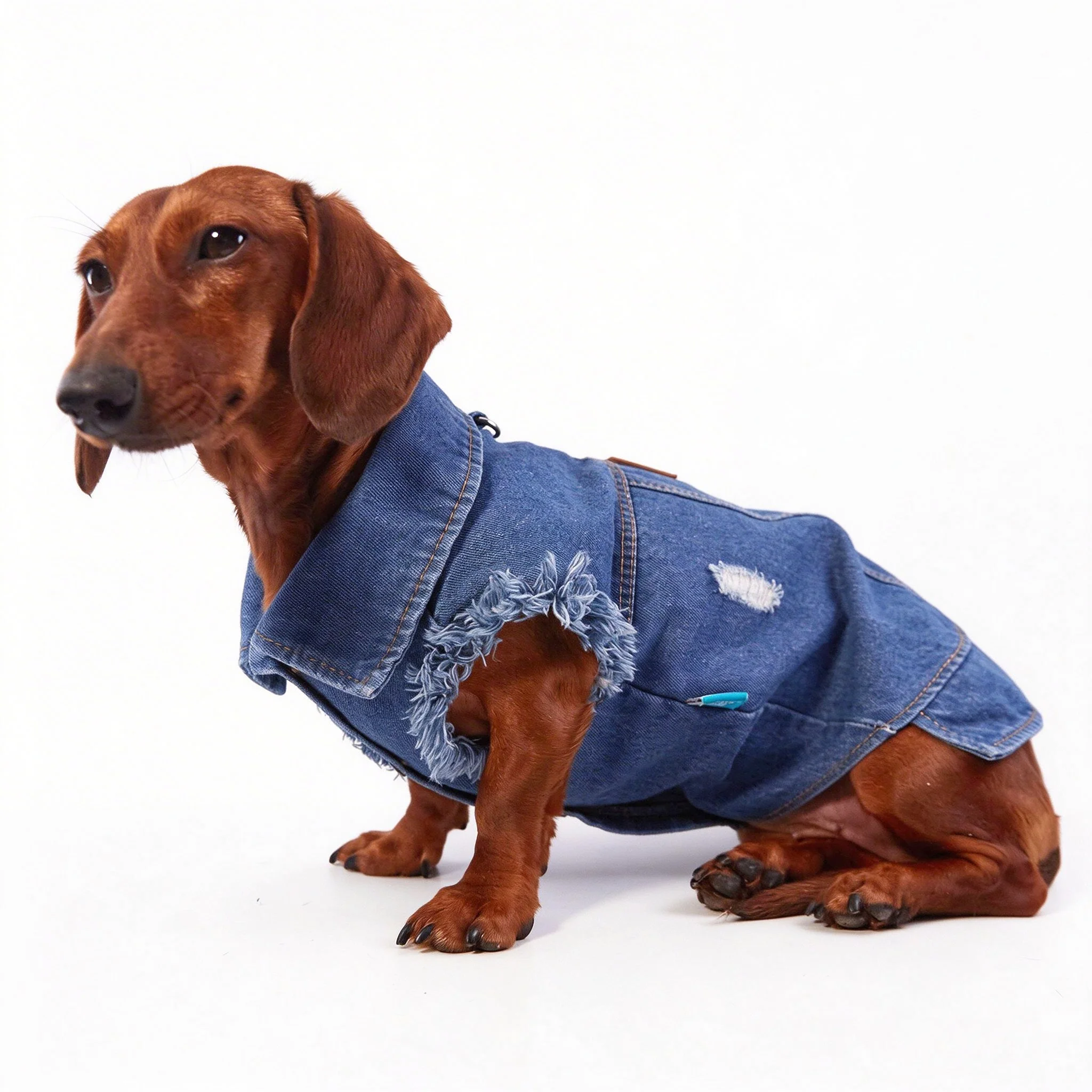 Blauw T-shirt met jeansprint voor Wienerhonden, geschikt voor lente en herfst, met korte mouwen, een modieuze outfit voor Wienerhonden, en een zacht vest voor Dachshonden.