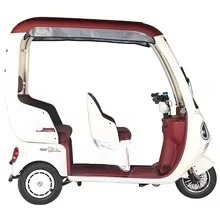 3-Person 60v electric tricycle 3-wheel bicycle with open body EEC certified household freight passenger car