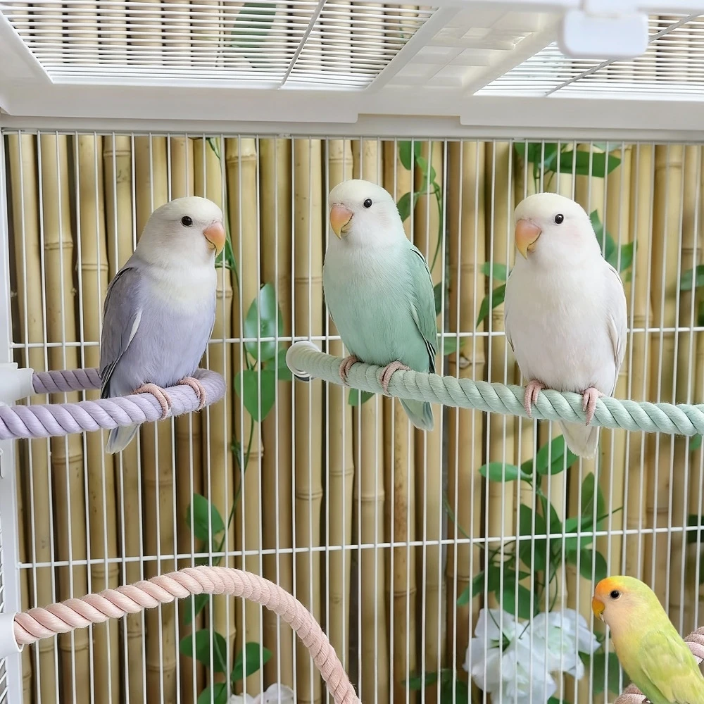 

Colorful Bird Rope Perch Natural Cotton Parrot Stand MultiColor Spiral Swing Toy for Cage Suitable for Budgie Cockatiel Conure