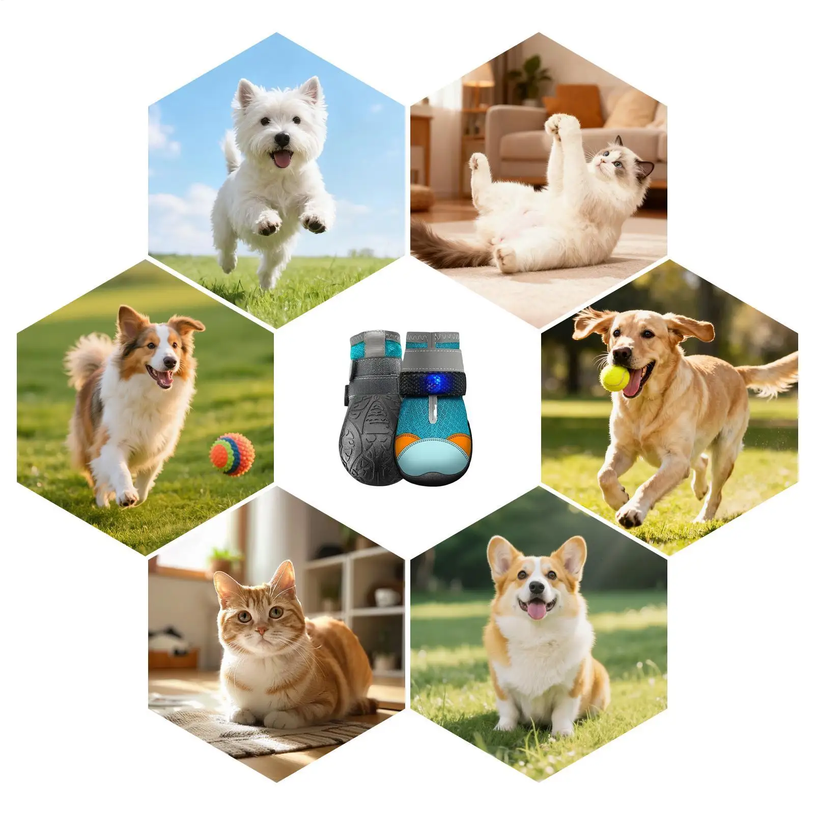 Thumbnail 4 - #12 Latest Puppy Boots Updates