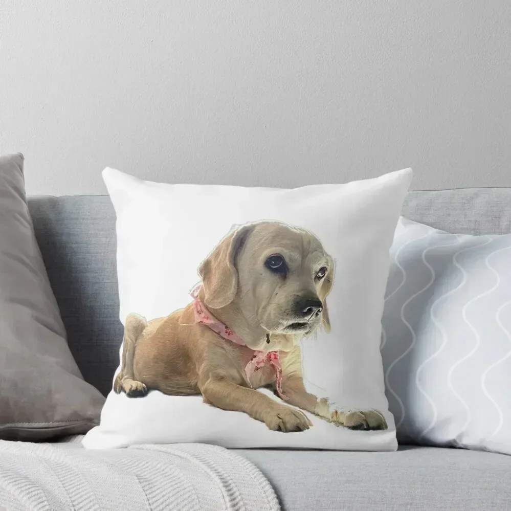 

Good Dog Throw Pillow Decorative Sofa Cushions Decorative Cushions anime girl Room decorating items pillow