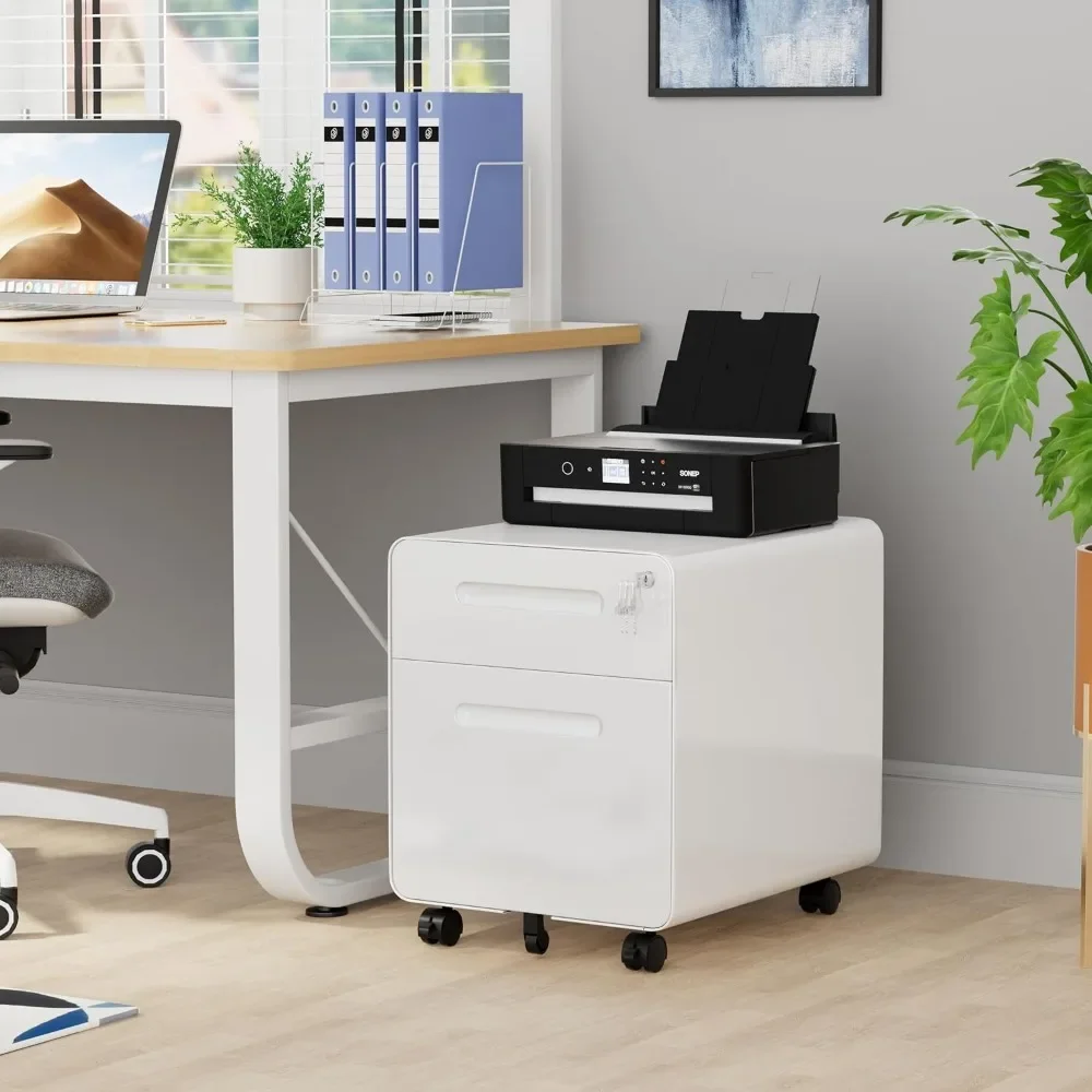 

2 Drawer File Cabinet with Lock and 4 Keys, Mobile Metal Filing Cabinet, File Cabinets for Home Office, Under Desk