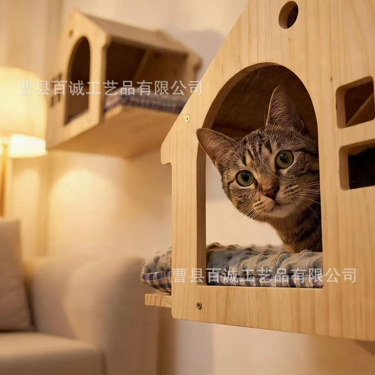 Personalización a medida para gatos y perros – Solicita - imagen 2