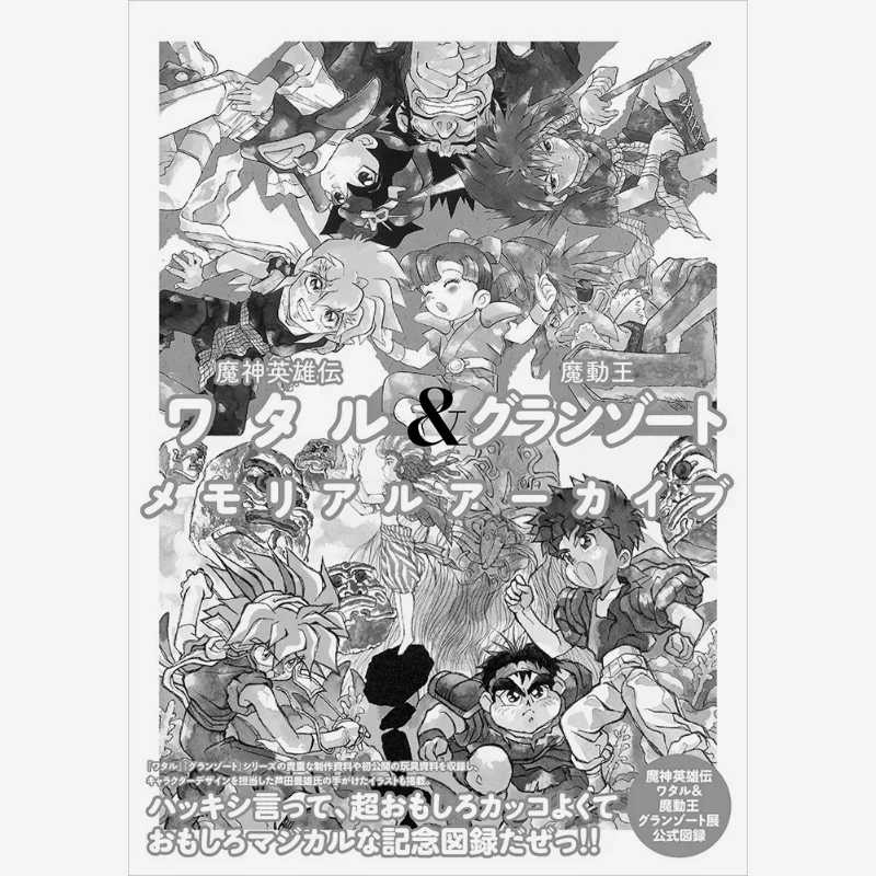 

Мошин Июден Ватру Модоль Грандсорт Выставка Восход Сюань Гуан Общество 9784768316009 Книга