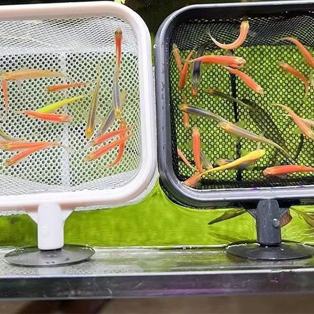 Red de aterrizaje de pesca a prueba de óxido, resistente a la corrosión, red de pesca de acero inoxidable para Catchin, peces, camarones, tanque, accesorios de acuario