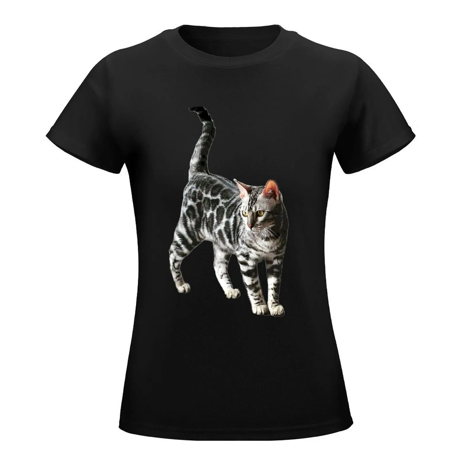 Bengal Cat Kitten Silver Spotted Beauty T-Shirt cute clothes Blouse lady clothes oversized workout shirts for Women