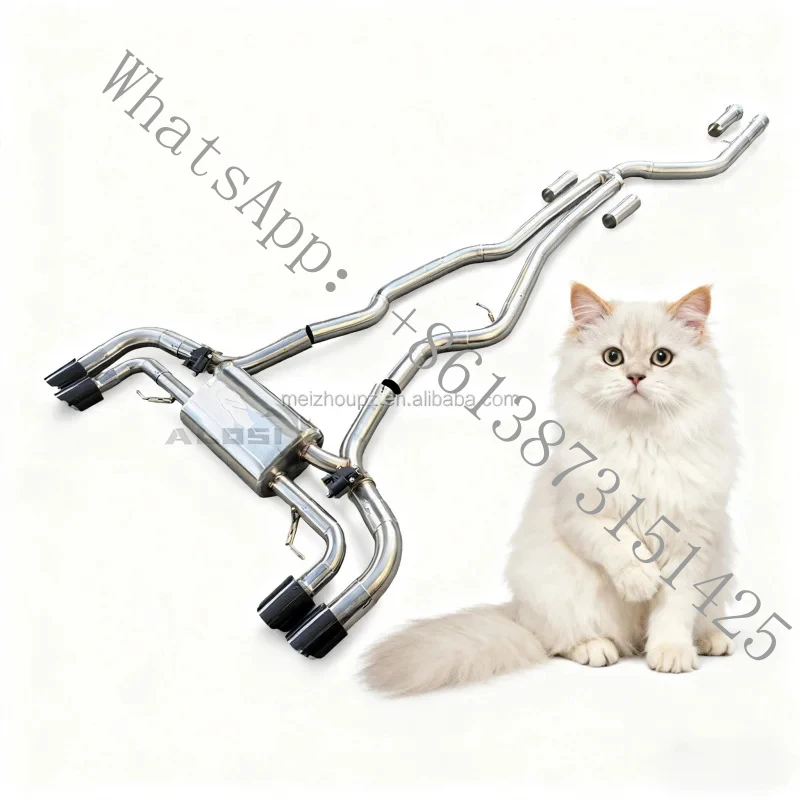 

Reliable quality Catback Exhaust Muffler M340 M340i 3.0T 2019-2023 Racing Car Exhaust System Sound Upgrade