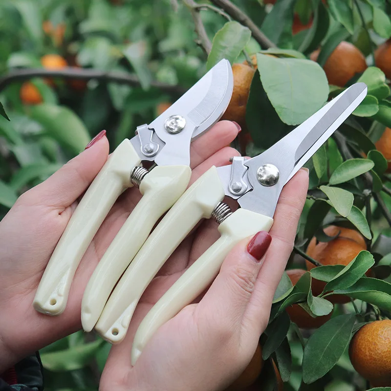 

Double-stem garden flower shears, pruning shears, straight and curved dual-purpose heavy-duty plant shears, suitable for pruning