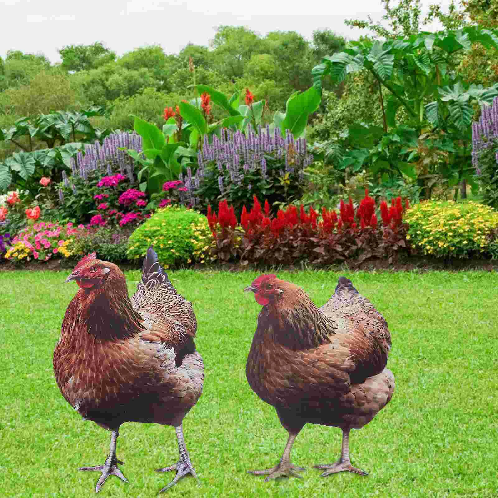 2 Pcs Chicken Garden Decoration Sign Signage Hen Stake Acrylic Yards Decorative