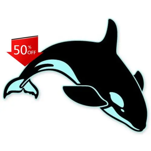 Orca Killer Whale Aesthetic Camper Van Motor Home Boat Window Waterproof Vinyl Decal Accessory Trendy Retro Funny Cool