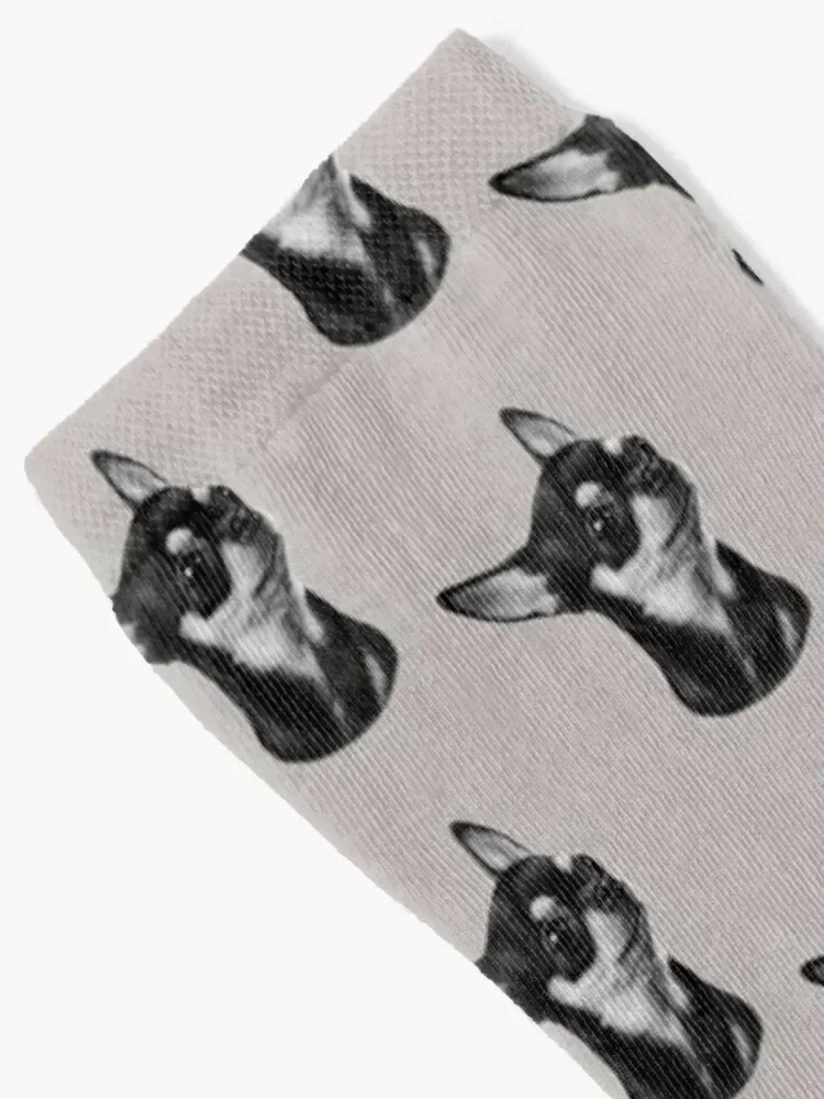 Cute Chihuahua Painting Socks Stockings compression custom sports Women Socks Men's