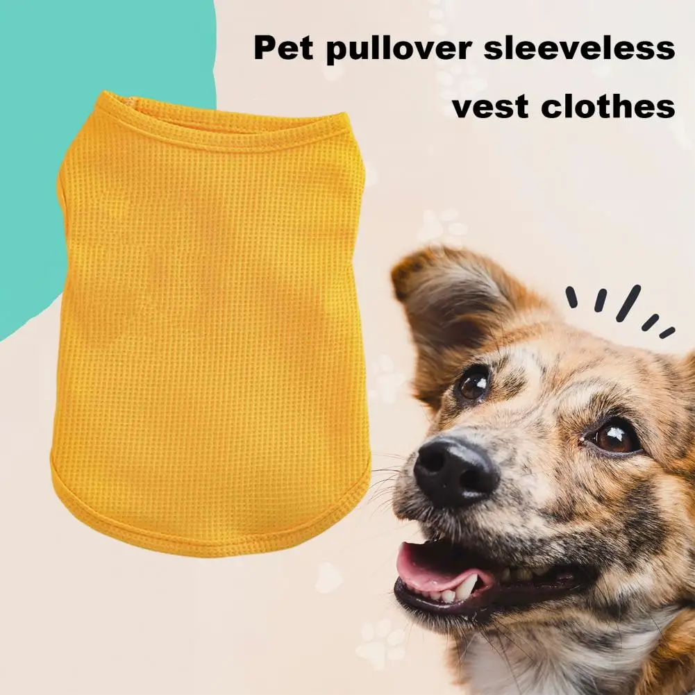 Two-legged Pet Clothing Stylish Pet Vest for Dogs Cats Sweatshirt T-shirt for Spring Summer Solid Color Cat Sleeveless T-shirt