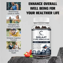 GPGP Greenpeople Pure Organic 100% Shilajit Gummies Rich in ginseng Fulvic Acid For Male Hormone Balance Energy Supplement