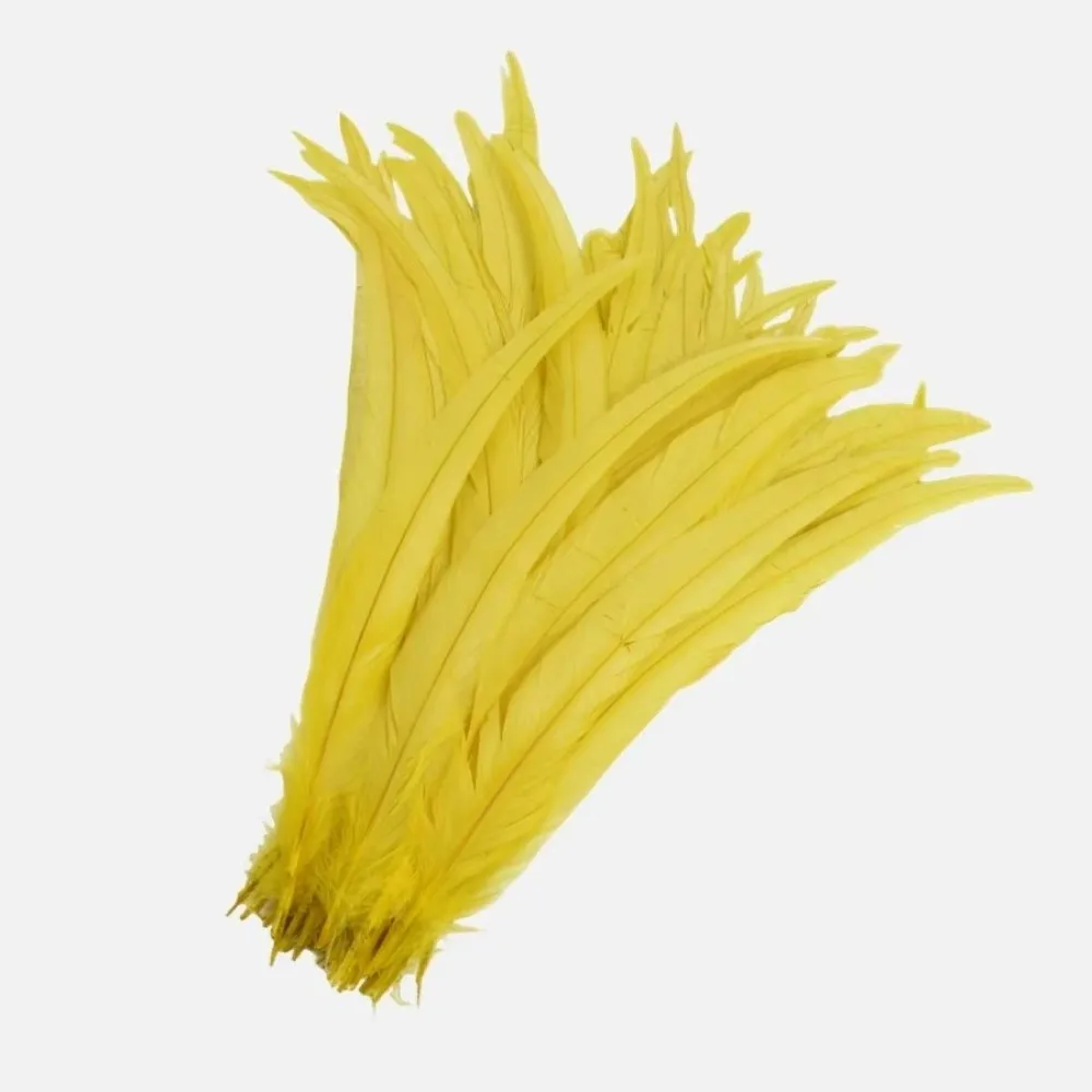 20Pcs Decorative Feather Plumes Rooster Tail Feathers Natural Feather Firm Quill Costume Feathers Smooth Surface 25-30cm Length