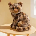 brown spot cat sy