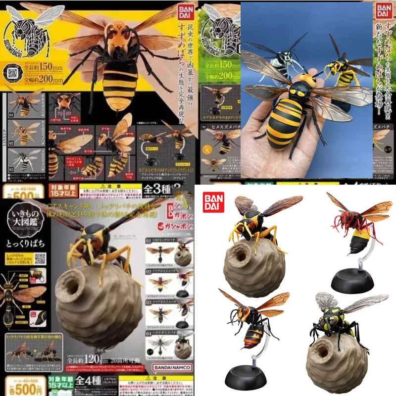 

BANDAI Original Gashapon Figure Cute Simulation Insect Hornet Beetle Capsule Toys Kawaii Anime Figurine Assembly Model Gift