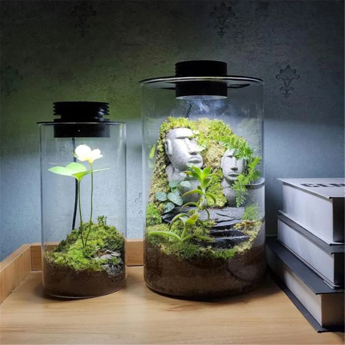 Imagem -06 - Lâmpada de Cultivo de Plantas de Terrário Usb Regulável com Temporizador para Vasos Crescimento de Plantas Internas Suculentas Paisagem de Jardinagem em Miniatura