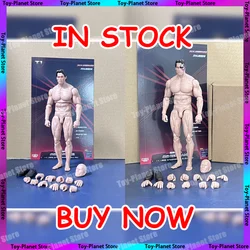 In Stock 7-Inch Terminator T800 T850 Male Muscle Action Figures With Head Hands Soldier Flexible Models Body Custom Gifts Toys