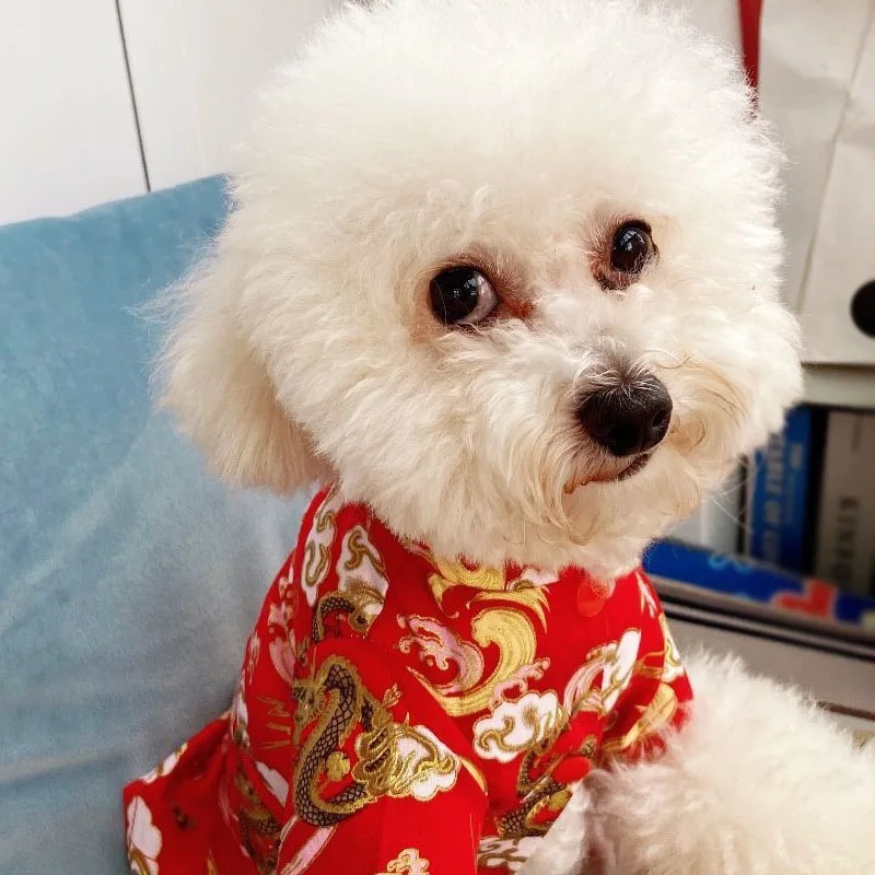 Winter Warm Dog Jacket Pet Puppy Chinese Styles Embroidery Clothes New Year Costume Jackets Chinoiserie New Year Dog Clothes