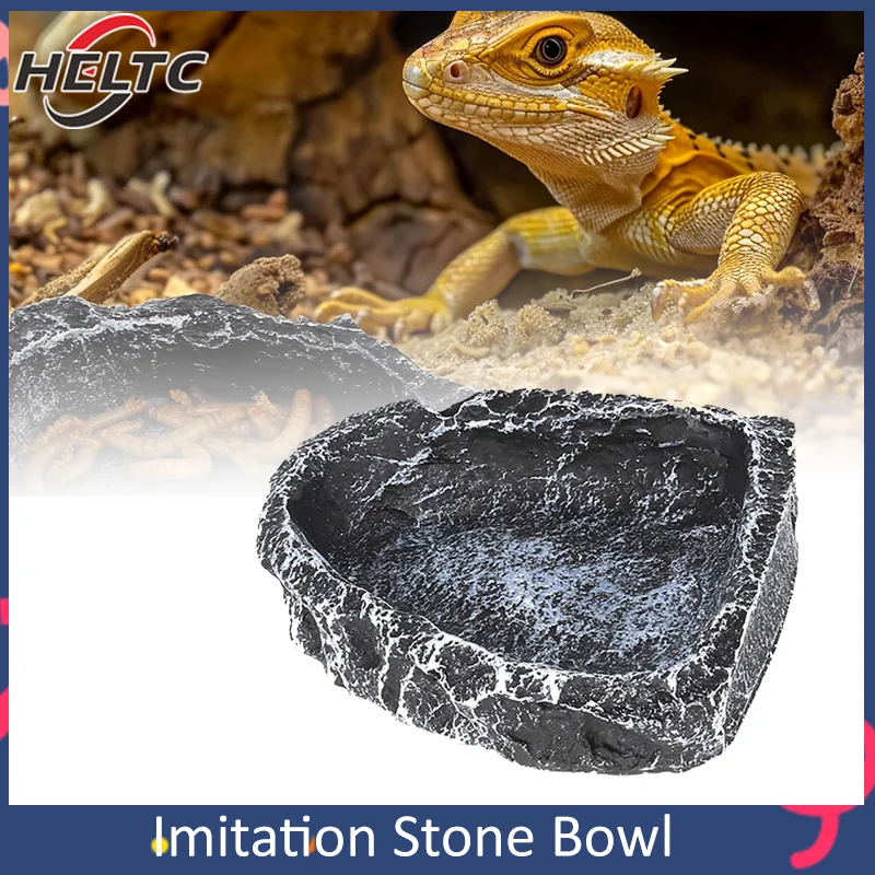 #19 Reptile Water Bowls Comparison Guide