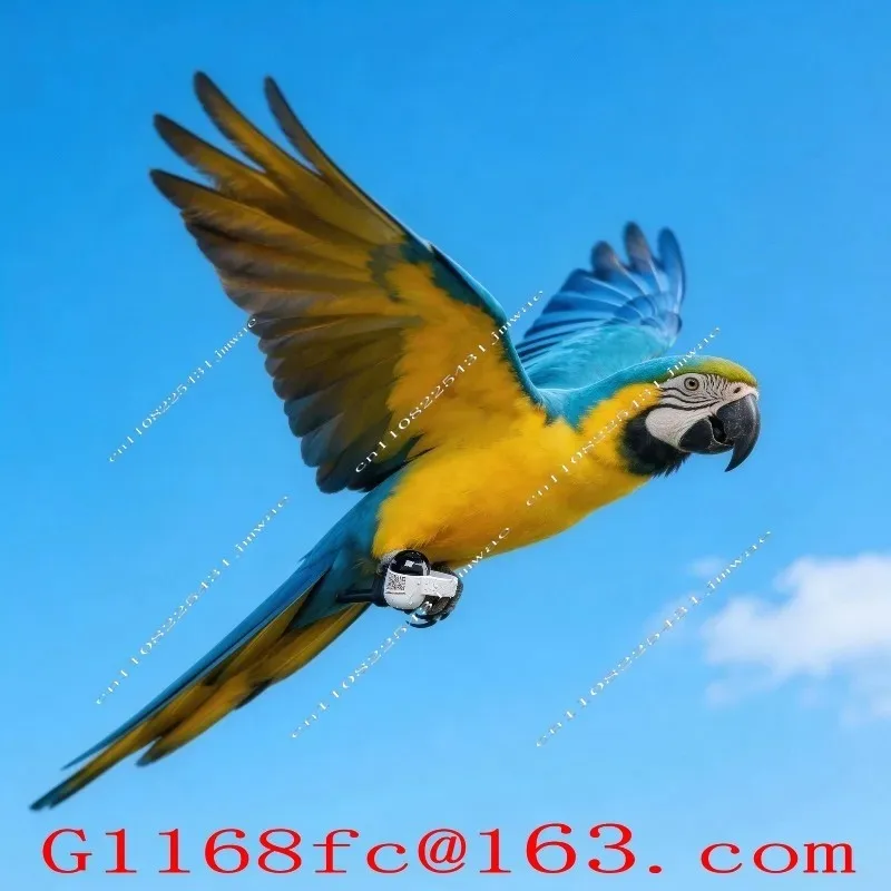 Data Analyzer Training Positioning Ring Pigeon GPS Waterproof Speed and Route