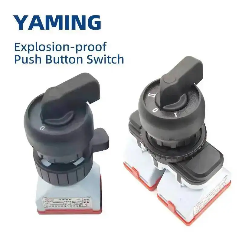 

EX Rotary Knob Switch Explosion-proof Power Supply 1NO1NC 2NO Silver Contact Operation Distribution Box 8097