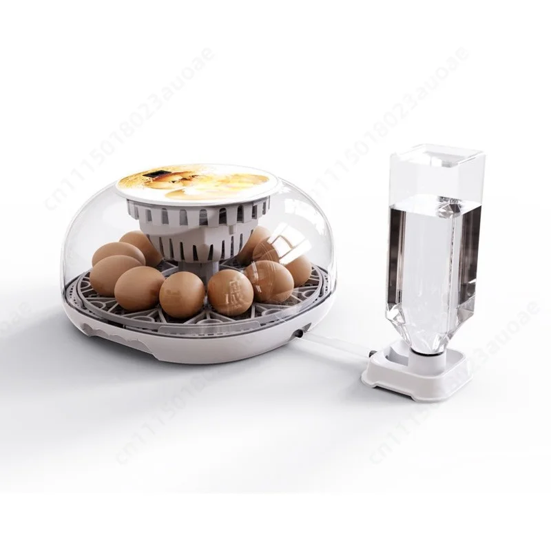 Small Automatic Egg Incubator, Intelligent Temperature Control Hatcher with Auto Turner, Household Poultry Egg Hatching Machine