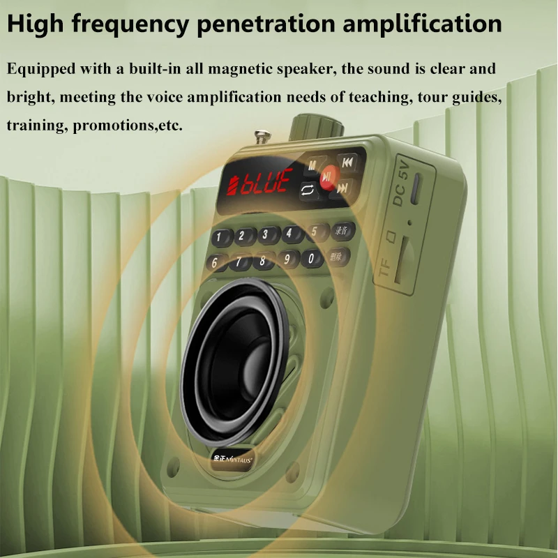 Mini Portable Bluetooth Speaker Hifi Sound Voice Amplifier HD Recorder with LED Display Support FM Radio TF Card U Disk MP3 Play