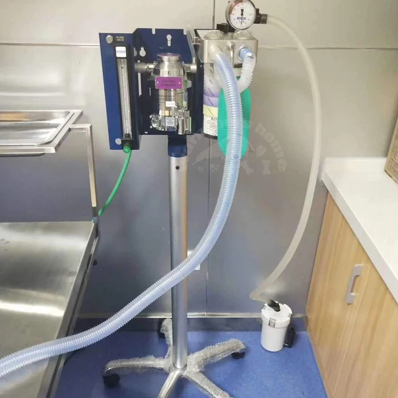 Veterinary Anesthesia Waste Gas Filter Canister Built-in Filter Sponge Waste Gas Absorption Tank Device