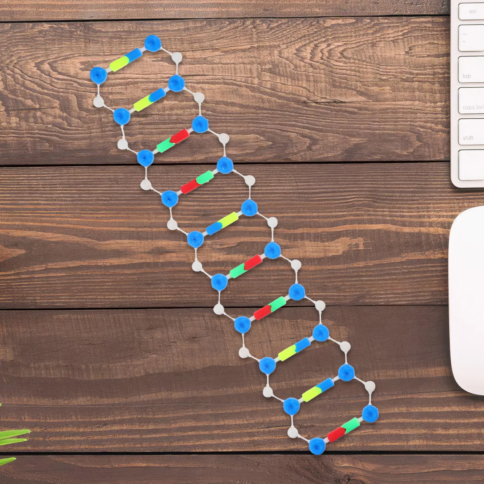 

Учебный набор «Двойная спираль ДНК» для генетики, биологии и использования в классах по молекулярной биологии, молекулярные модели