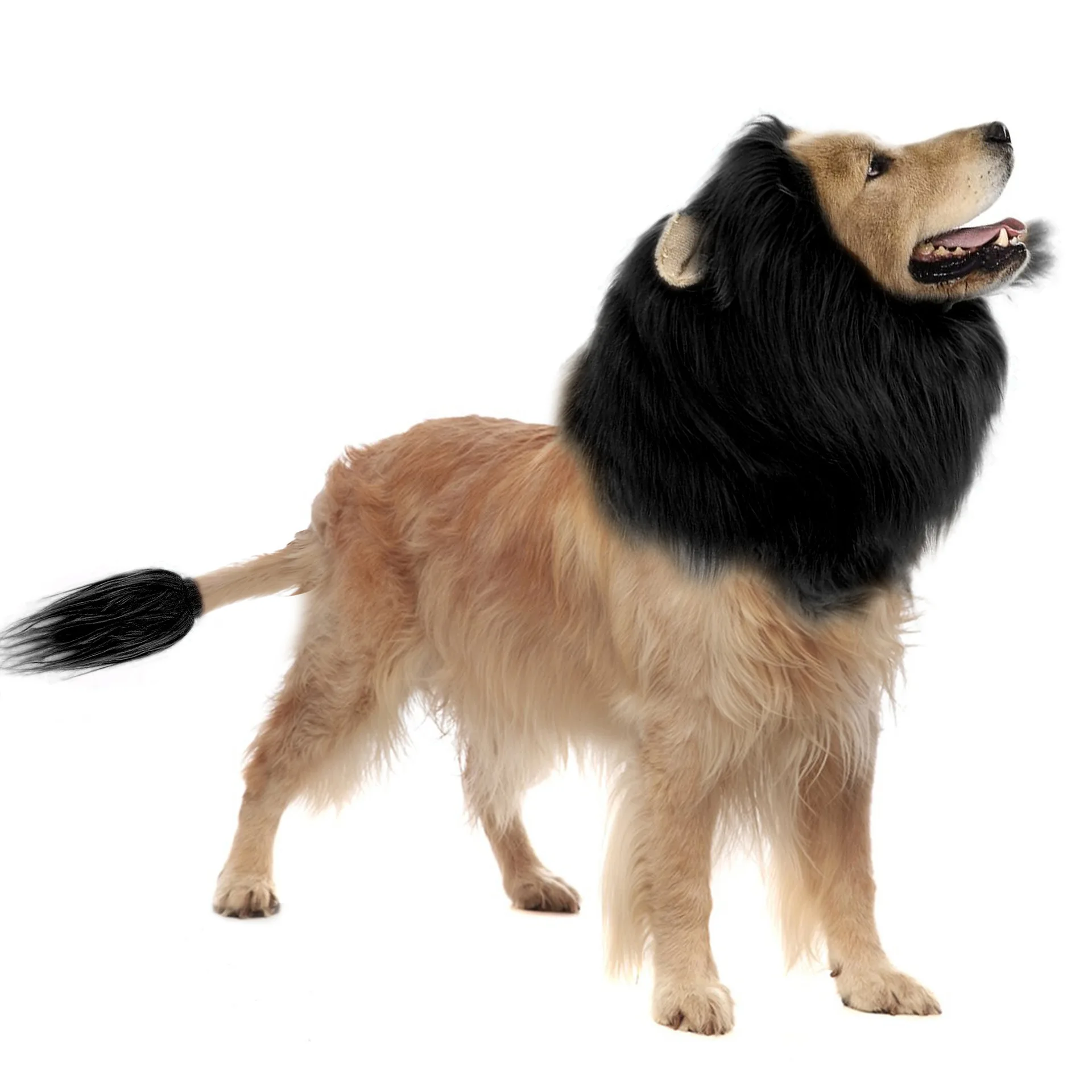 Lustige Haustier-Löwenmähne-Perücke mit Ohren, Hunde- und Katzen-Cosplay-Kostüm, Löwenkönig-Verkleidung, Kopfbedeckung, Halloween-Party, Foto-Requisiten – Detail 14
