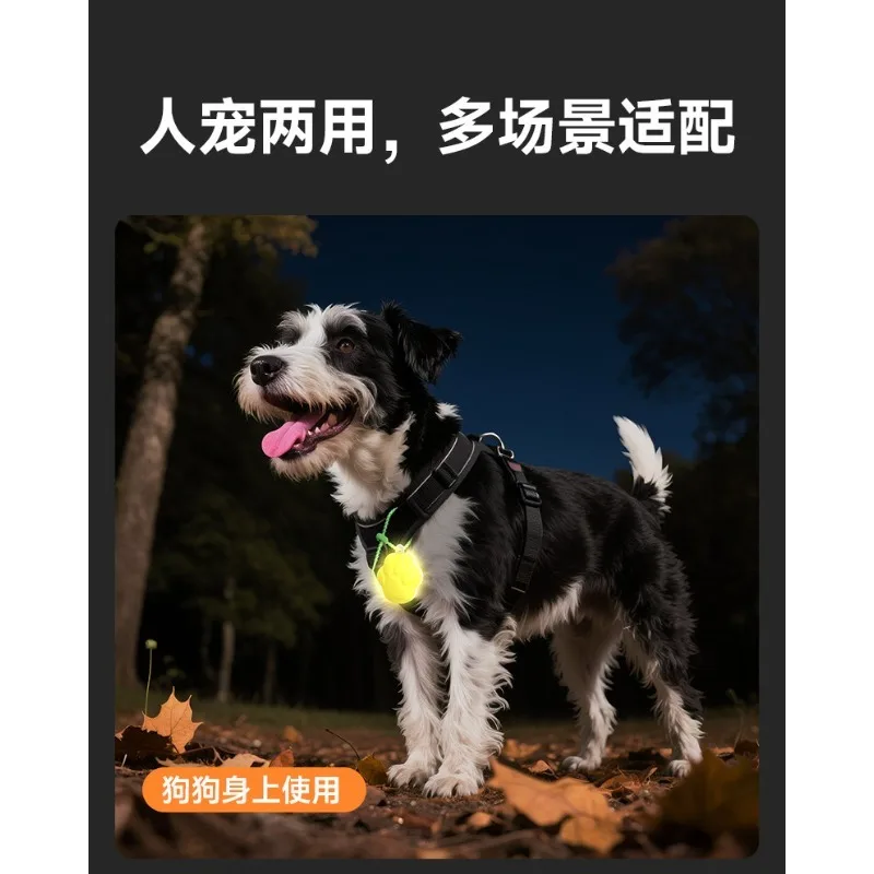 LED Light Dog Collar Pendant Night Walking Pet Safety Light Night Riding Visibility Pendant