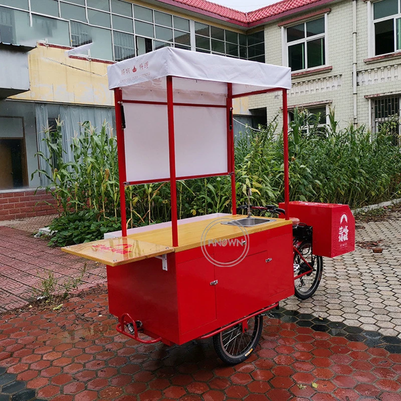 New Design Electric Human Pedal Cargo Bike Ice Cream Tricycle Cold Drink Coconut Water Bricycle Vending Kiosk Catering Food Cart