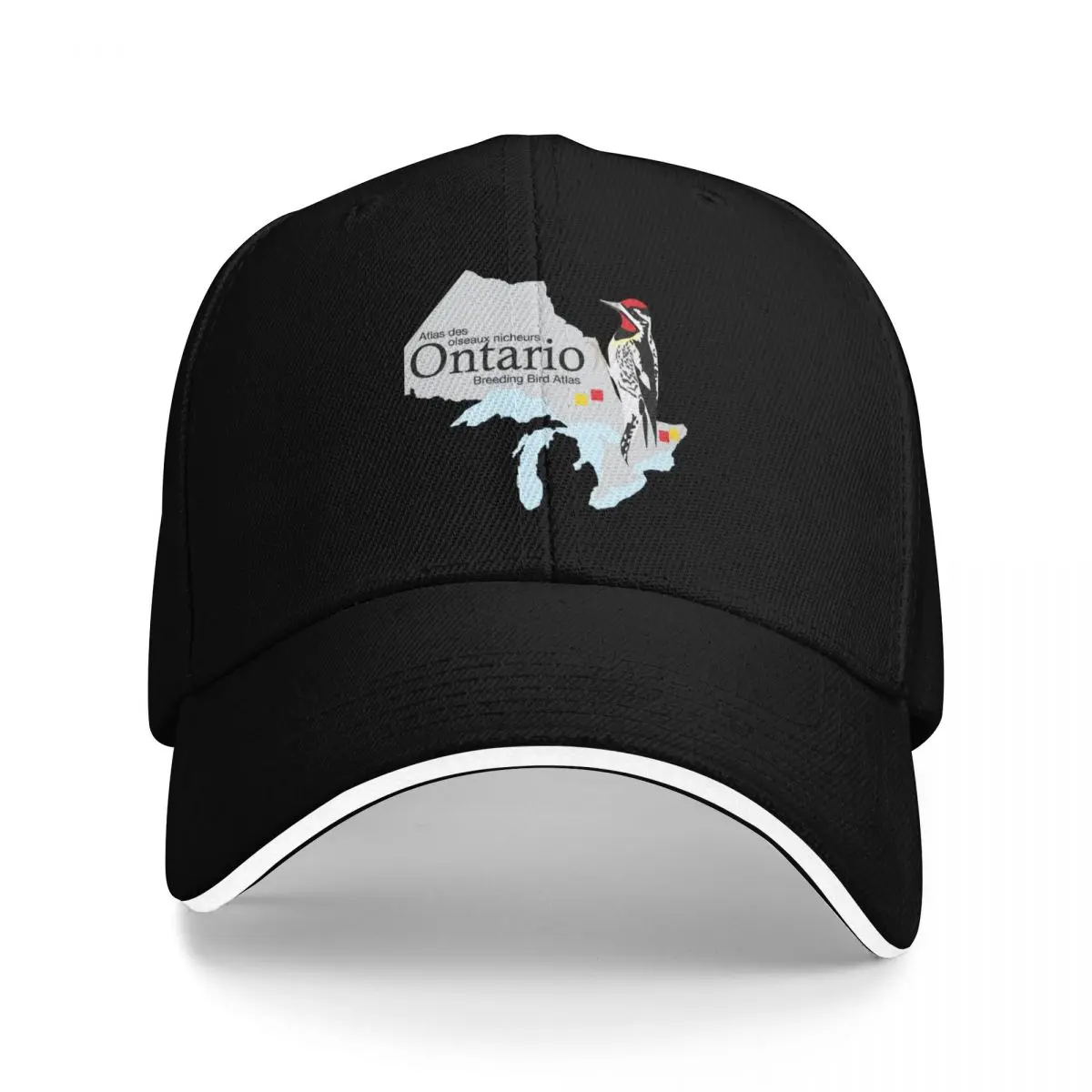 

Ontario Breeding Bird Atlas Standard Logo Baseball Cap Sunscreen Hat Luxury Brand Fashion Beach Golf Men Women's