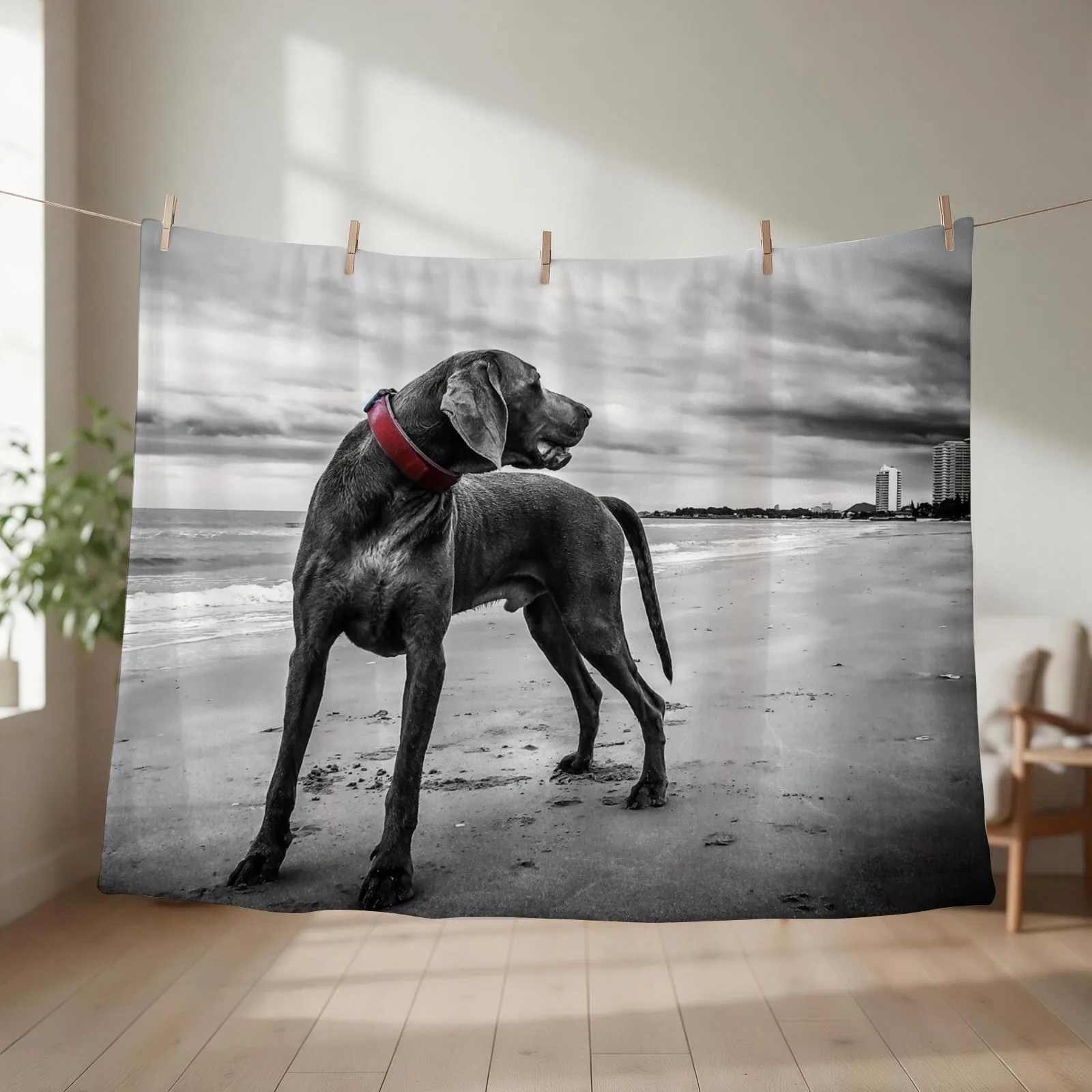 Weimaraner Throw Blanket couch cozy soft plush fuzzy picnic outdoor blanket