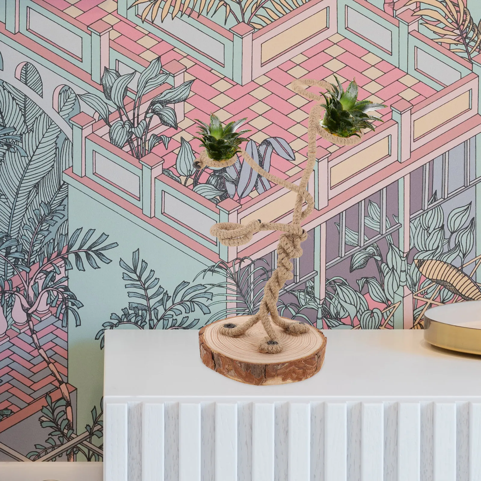 

Tabletop Air Plant Holder Stand Decorative Rack Creative Display for Home Office Small Air Plants Tillandsia Small Plant Holder