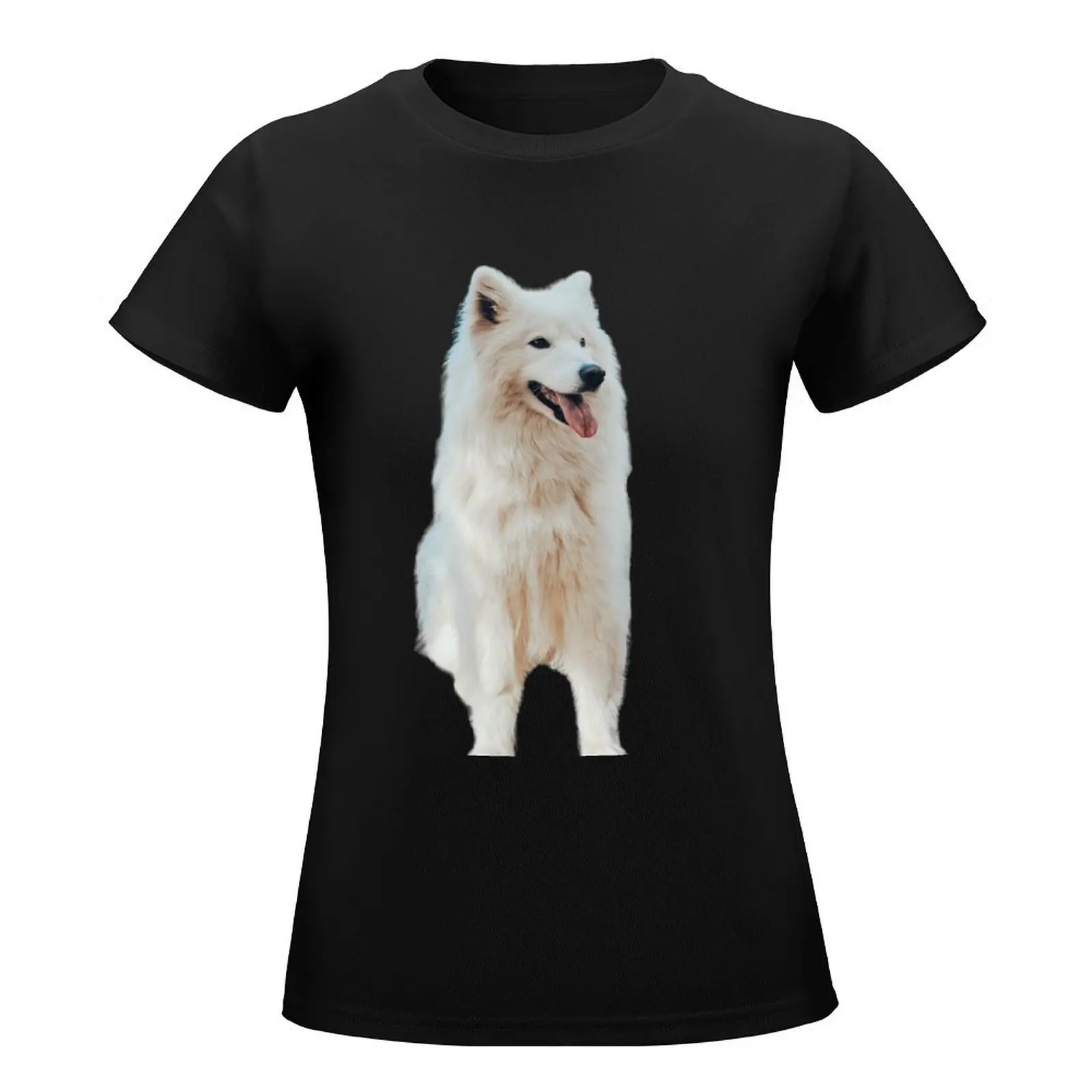 Husky dog with a piercing look T-Shirt kawaii clothes summer clothes T-shirts for Women