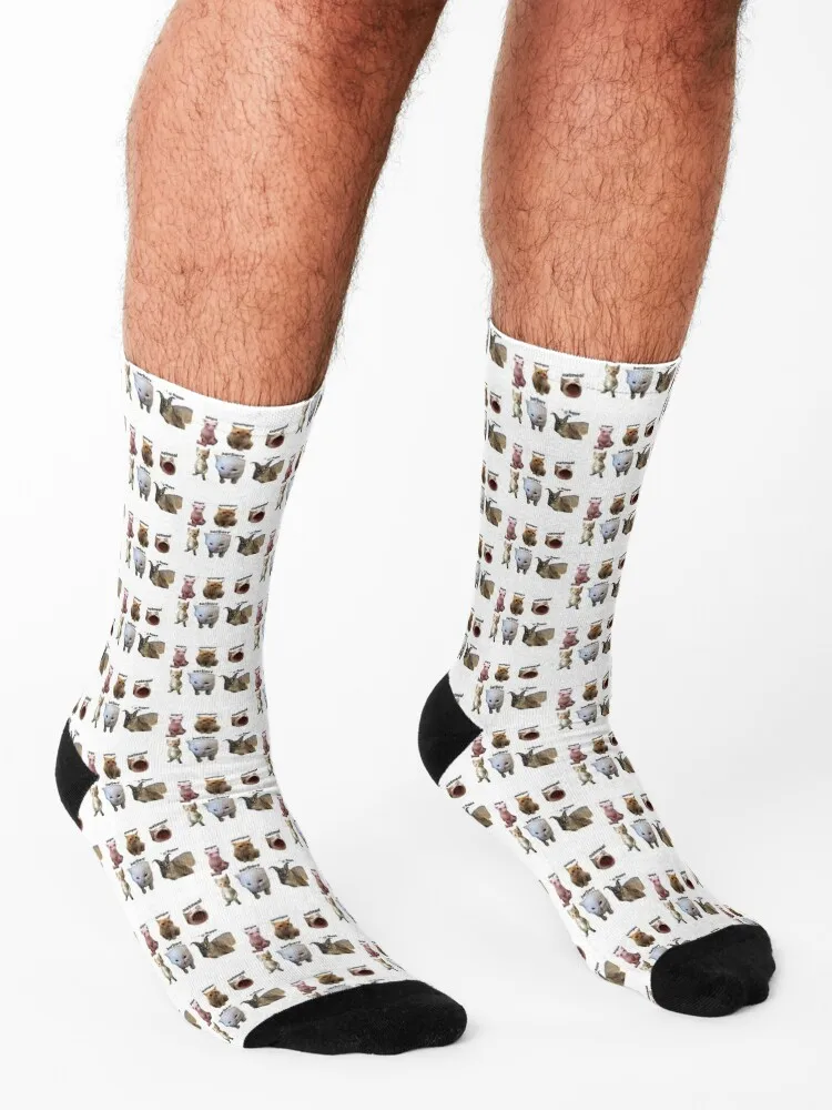 Bingus, Spoingus, Oatmeal, Michael (a), herbert, and Big Floppa - All the Bingus Cats Socks aesthetic anime Women's Socks Men's