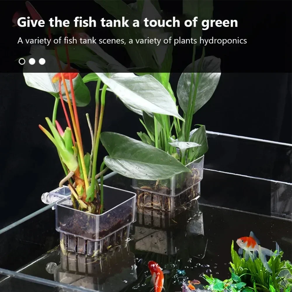 Fish Bubbles Aquarium Water Grass Cup Multiple Plant Hydroponics Hydroponic Planting Basket for Fish Tank Landscape