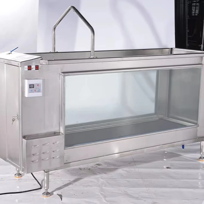 Dog Underwater Treadmill Pet Running Machine Hydrotherapy Rehabilitation Training for Animals Customized