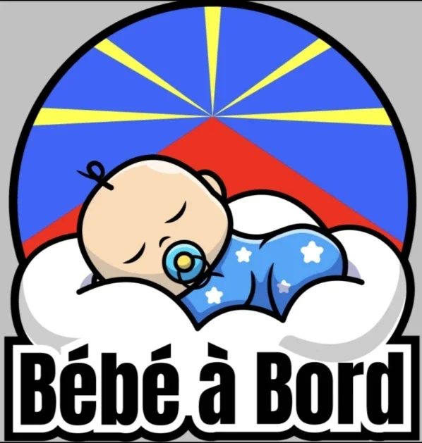 

Наклейки на автомобиль Reunion Island Bebe A Bord, виниловые самоклеящиеся цветы, автомобильные аксессуары