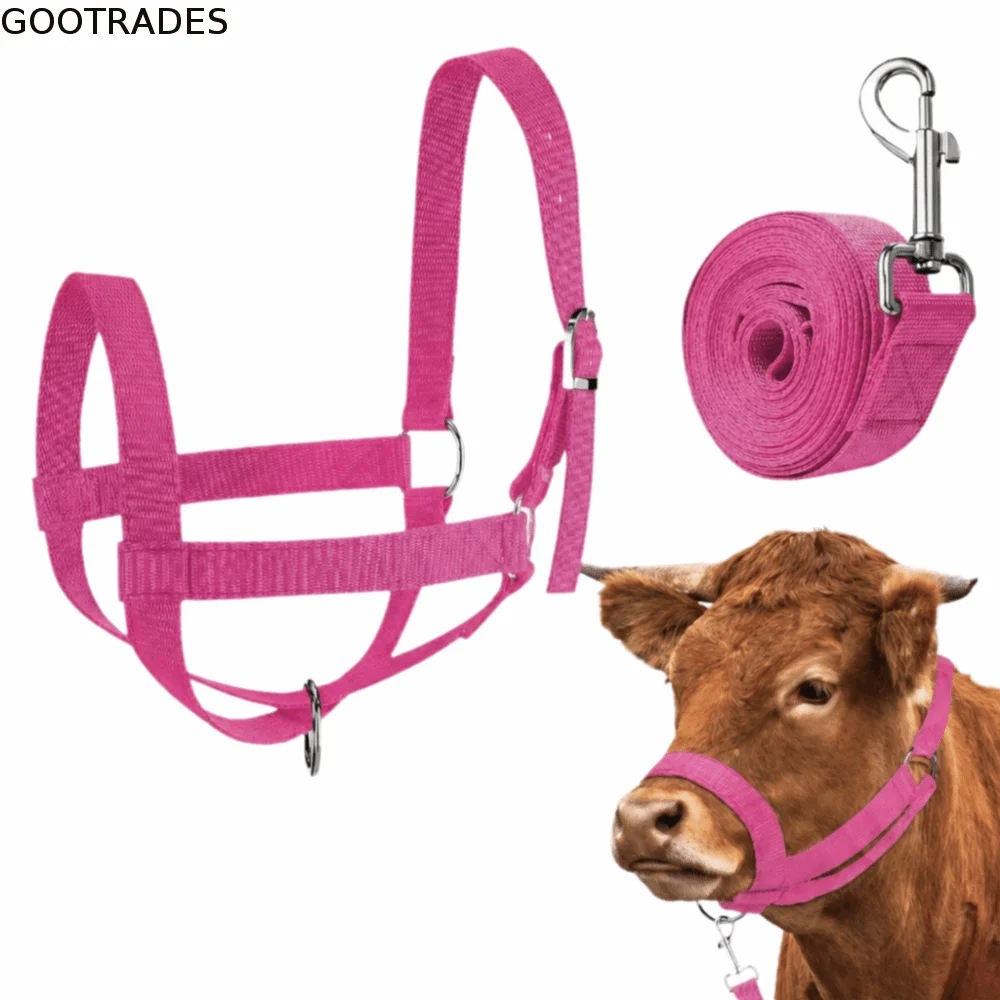 Adjustable Cow Halter with Lead Nylon Heavy Duty Calf Training Rope Comfort Fit Durable Livestock Strap Grassland Riding